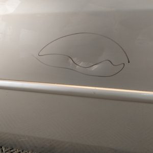 Puerta Delantera Izquierda Renault Logan Lv (06162381)
