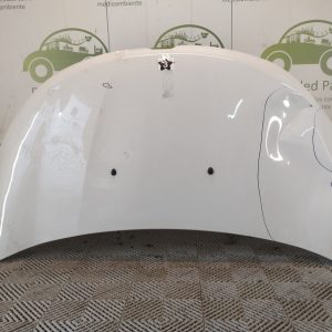 Capot Renault Kangoo Ln (05481902)