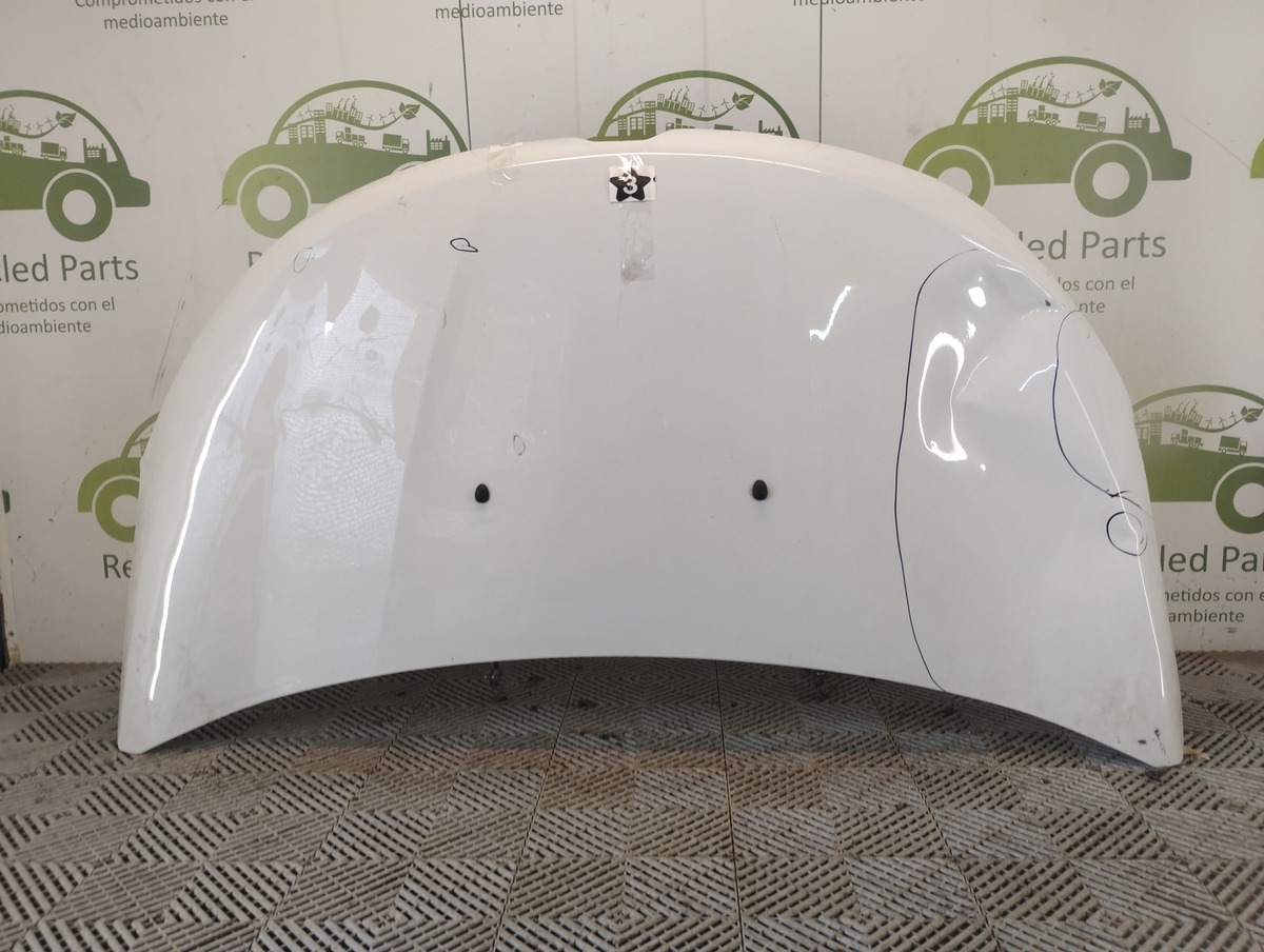 Capot Renault Kangoo Ln (05481902)