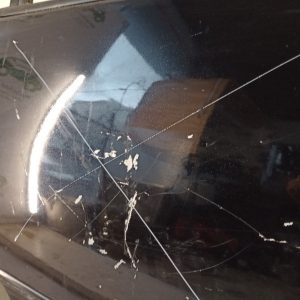Puerta Trasera Derecha Vw Bora (02606037)