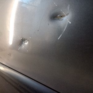 Puerta Trasera Derecha Peugeot 206 (04019506)