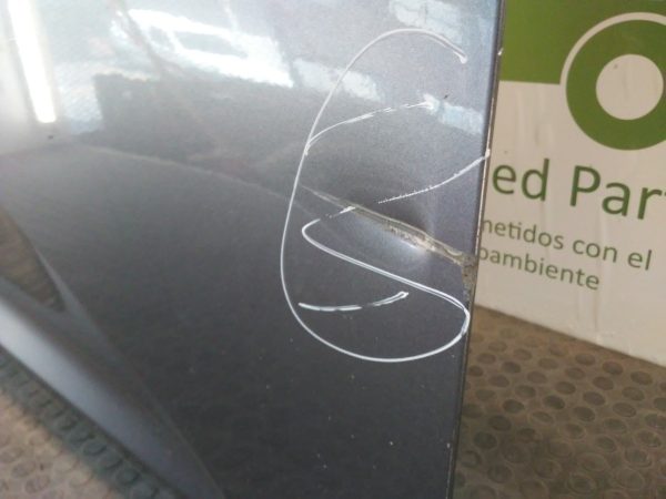Puerta Delantera Derecha Kia Sportage (04316356)