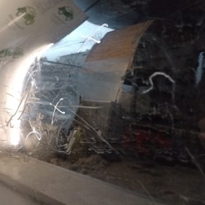 Puerta Trasera Derecha Peugeot 207 (04011085) Lp