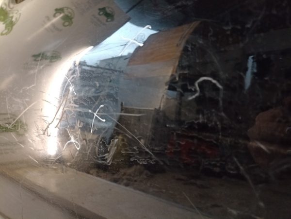 Puerta Trasera Derecha Peugeot 207 (04011085) Lp