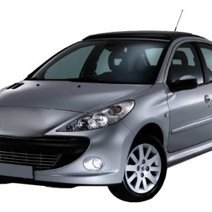 Banda Larga Paragolpe Delantero Peugeot 207