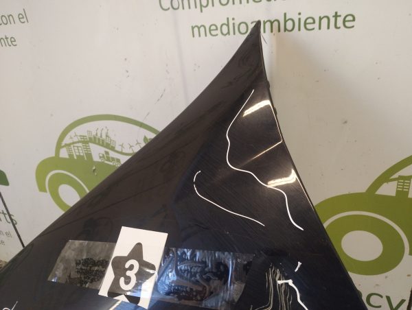 Guardabarro Izquierdo Renault Symbol (05952811)