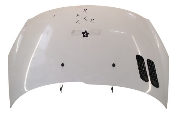 Capot Peugeot 207 (05595049)