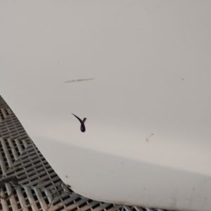 Puerta Trasera Derecha Honda Civic 9na (05248928)