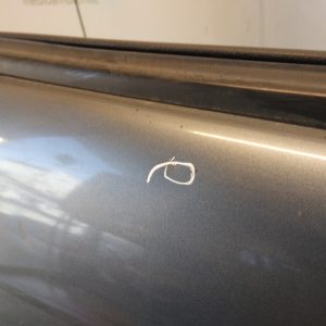 Puerta Trasera Derecha Citroen C5 (04064616)
