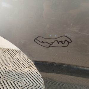 Puerta Trasera Derecha Suzuki Swift Lv (04824846)