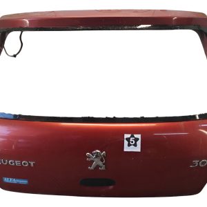 Porton Trasero Peugeot 307 (05559439)