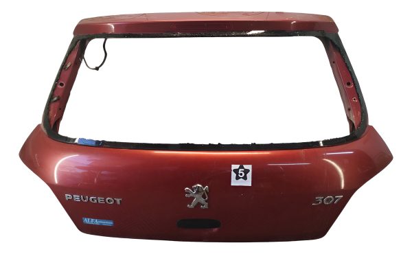 Porton Trasero Peugeot 307 (05559439)