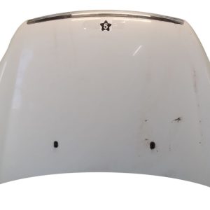 Capot Ford Focus 2 (05906145)