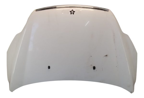 Capot Ford Focus 2 (05906145)
