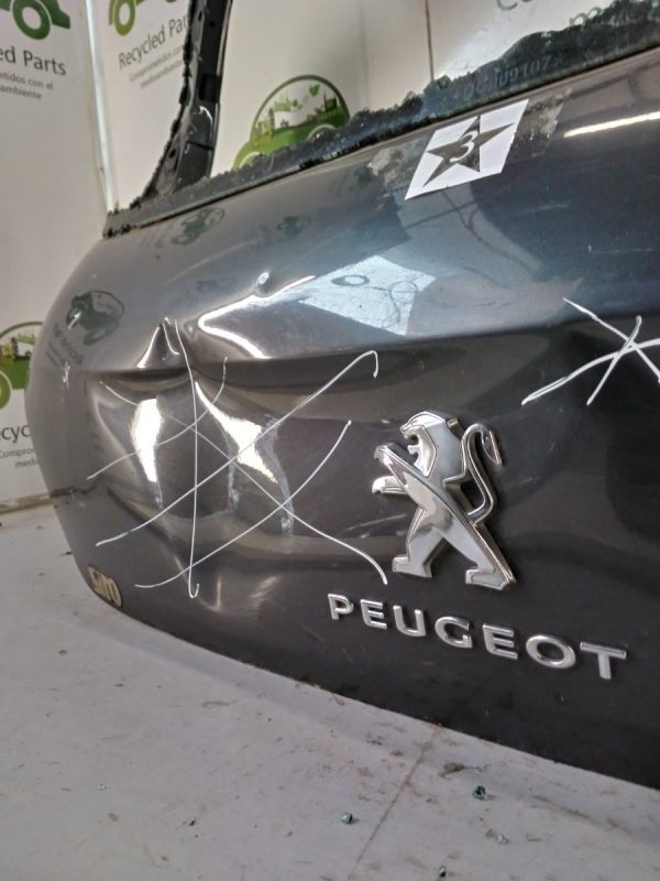 Porton Trasero Peugeot 308 (03407808)
