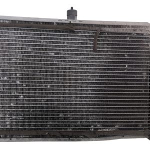 Radiador De Agua Vw Gol 1.9 (06224855)