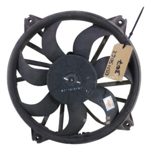 Electroventilador Peugeot 307 2.0 Hdi (05515062)