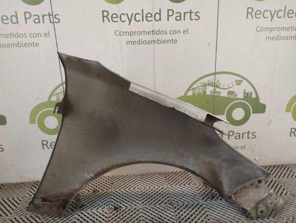 Guardabarro Izquierdo Peugeot 207 (06245698)
