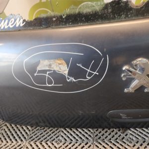 Porton Trasero Peugeot 307 (06020727)
