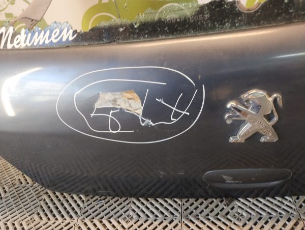 Porton Trasero Peugeot 307 (06020727)