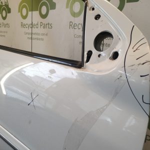 Puerta Delantera Derecha Peugeot 207 (06060109)