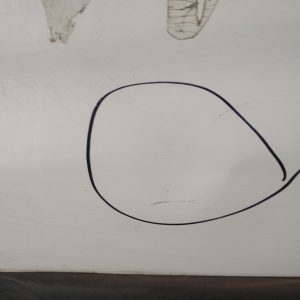 Puerta Delantera Izquierda Citroen Berlingo (05613806)