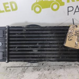Intercooler Peugeot 207 1.6 Thp (04278163)