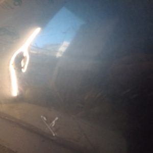 Puerta Trasera Derecha Peugeot 206 (03191007) Lp