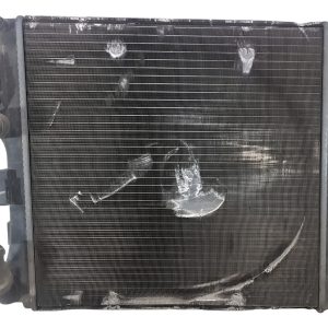 Radiador De Agua Renault Kangoo 1.6 (05926149)