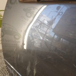 Puerta Delantera Izquierda Vw Bora (04720013)