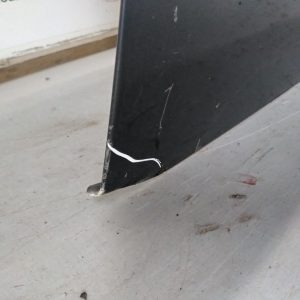 Puerta Delantera Derecha Renault Scenic (04142545)