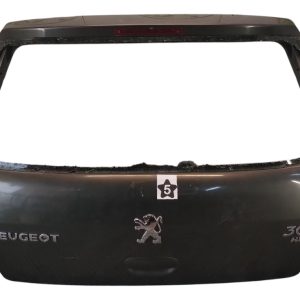 Porton Trasero Peugeot 307 (05515080)