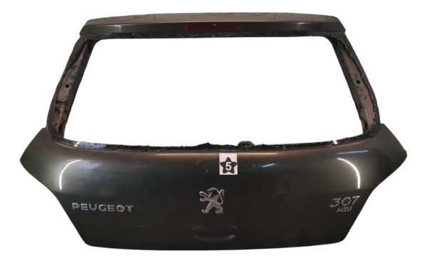 Porton Trasero Peugeot 307 (05515080)