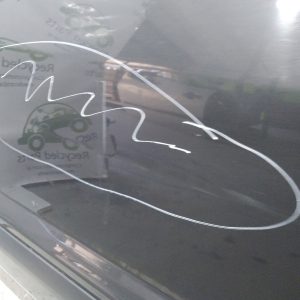 Puerta Delantera Derecha Ford Ecosport (05693487) Lp