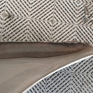 Guardabarro Derecho Fiat Siena F2 (06221638)