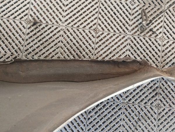 Guardabarro Derecho Fiat Siena F2 (06221638)