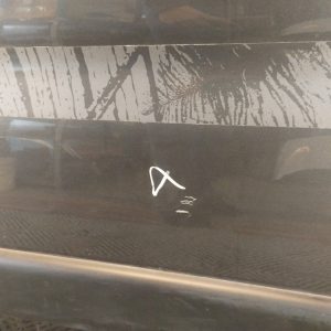 Puerta Delantera Izquierda Peugeot Partner (05920895)