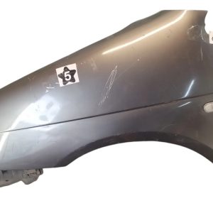 Guardabarro Izquierdo Renault Scenic F2 (06080555)