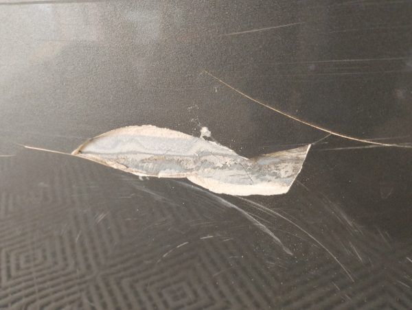 Puerta Trasera Derecha Ford Focus 2 (05031661)
