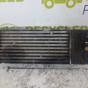 Intercooler Citroen Berlingo 1.6 Hdi (05333872)