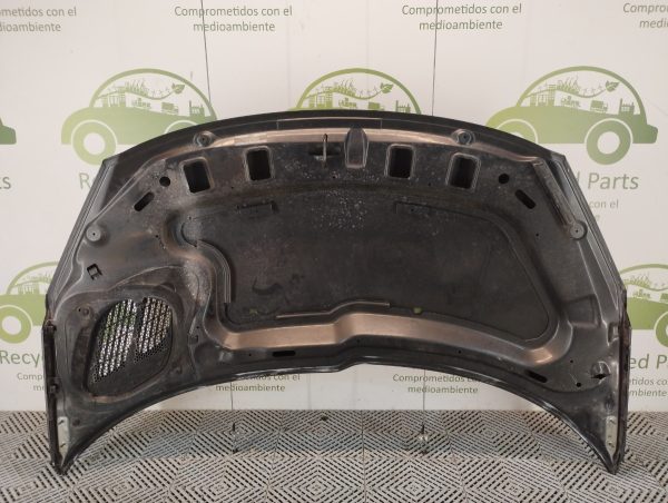 Capot Peugeot 207 (04843489)