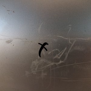 Puerta Trasera Derecha Peugeot 207 (03008230) Lp