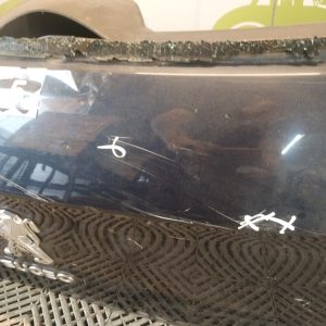 Porton Trasero Peugeot 308 (06274653)