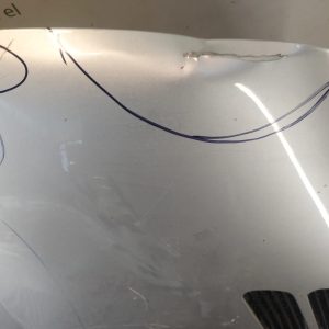 Capot Peugeot 207 (06501801)