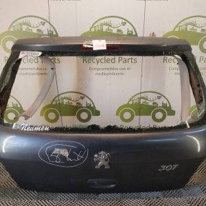 Porton Trasero Peugeot 307 (06020727)