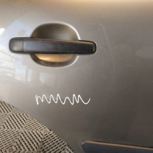 Puerta Trasera Derecha Citroen C3 Lv (06001958)