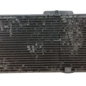 Radiador De Agua Chevrolet Classic 1.4 (04361869)