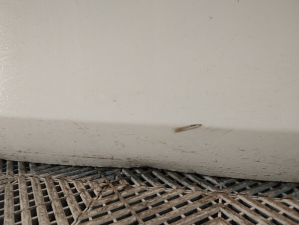 Puerta Delantera Derecha Toyota Yaris Ln (04788314)