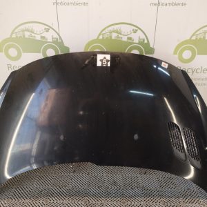 Capot Peugeot 207 (05824037)