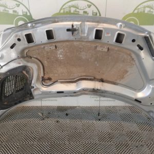 Capot Peugeot 207 (06501801)